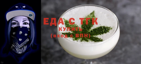 индика Протвино