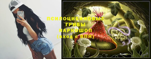 прущий лед Алзамай