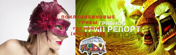 прущий лед Алзамай