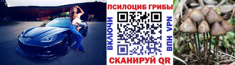 Псилоцибиновые грибы Magic Shrooms купить наркоту кракен рабочий сайт Солнечногорск